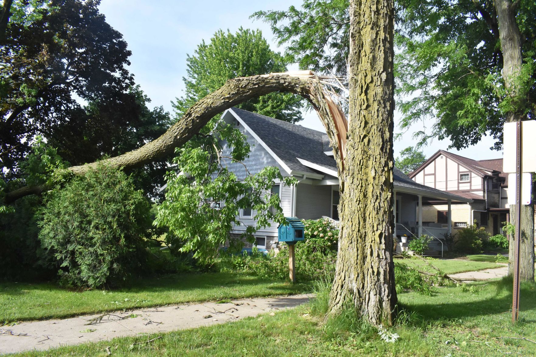 Split tree in Portage